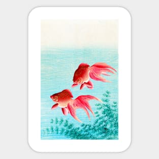 Two Veiltail Goldfish, Pink, Japan, Ohara Koson Sticker